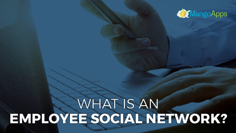 What Is An Employee Social Network?