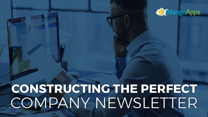 Constructing The Perfect Company Newsletter