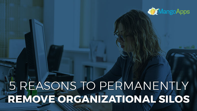 5 Reasons To Permanently Remove Organizational Silos