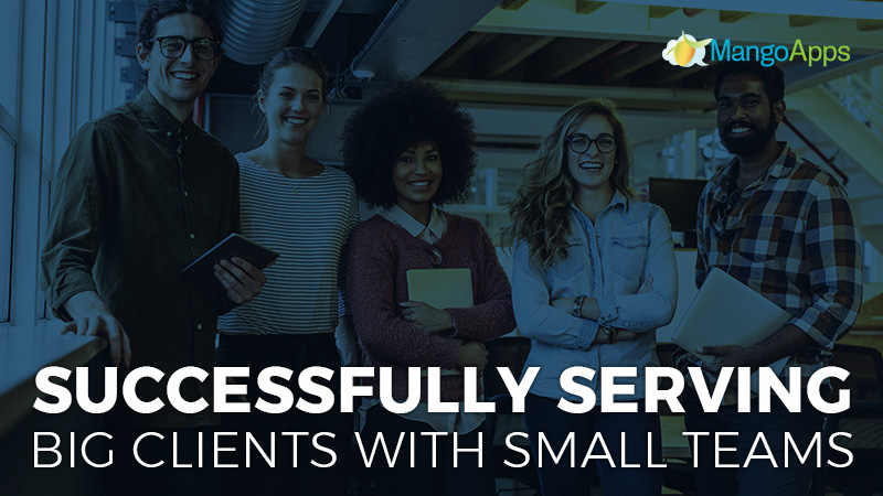 Successfully Serving Big Clients With Small Teams